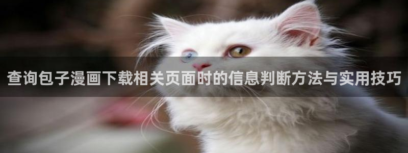 七七漫画作品大全:查询包子漫画下载相关页面时的信息判断方法与实用技巧