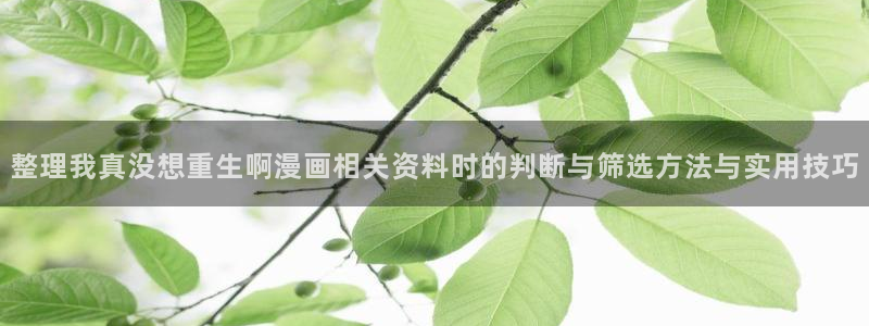 七七漫画阅读榜:整理我真没想重生啊漫画相关资料时的判断与筛选方法与实用技巧